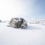 Estepa de la Patagonia