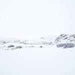 Estepa de la patagonia
