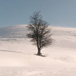 El último nativo - Invierno